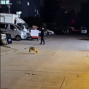 A2303007 I hope he recovers soon (Part 2)