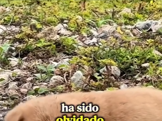 M2303009 Every scar tells a story of survival. Now, let’s write a story of love. (Part 2)