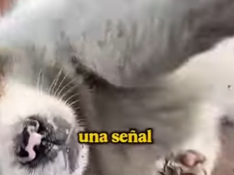 M2303012 Compassion is the best fashion. (Part 2)