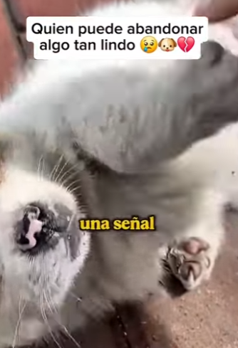 M2303012 Compassion is the best fashion. (Part 2)