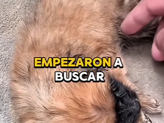 M2303003 They don’t care about your past; they just want a future with you. (Part 2)