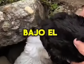 M2303004 Found a little piece of heaven on the side of the road. (Part 2)