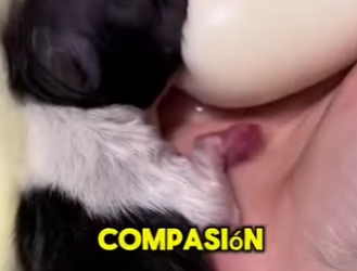 M2303006 They didn’t have a voice, so I gave them a home. (Part 2)