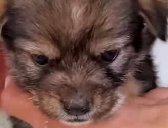 M2303001 Who rescued who? ❤️ (Part 2)