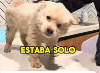 M2303007 From the streets to my sheets. 🏠 (Part 2)