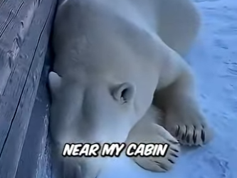 🐻 ❄️❄️ ¡Mi oso polar me salvó de morir congelado! 😱💙 (Part 2)