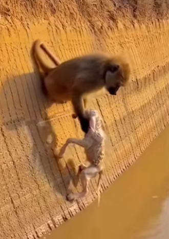 K2003003 The Guardian of the River (Part 2)