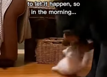 P2403003 The Unexpected Gift (Part 2)