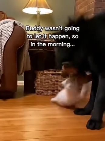 P2403003 The Unexpected Gift (Part 2)