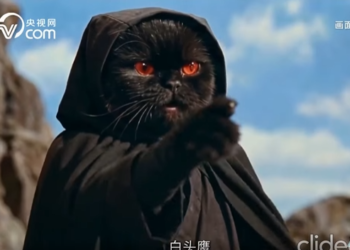 AI Tales | Ceasefire is the Key to Martial Prowess: Golden Valley Has No “Eagle” Home