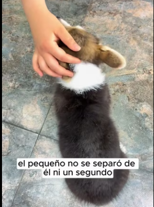 R2403011 Jack found a puppy staggering by the side of the road, and he knew something was wrong (Part 2)