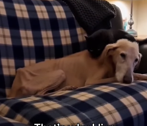 P1403002 He came to the right place ❤️ (Part 2)