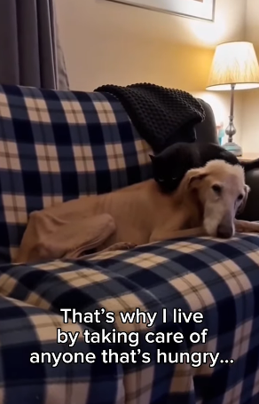 P1403002 He came to the right place ❤️ (Part 2)