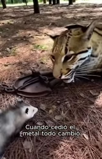 V2403012 Final incredible.. (Part 2)