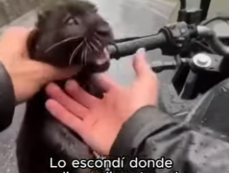 Final increíble. (Part 2)