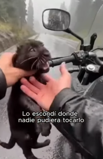 Final increíble. (Part 2)