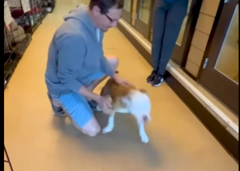 I2503012 You don’t need sight to deserve love ❤️ @LaratheBlindPittie (Part 2)