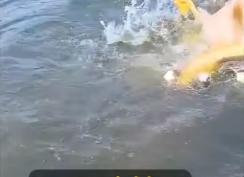 I2503004 Compassion saved his life ❤️ (Part 2)