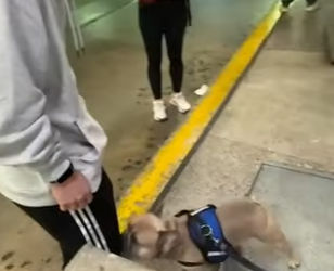 I2503011 The moment he remembers him 🥹 (Part 2)