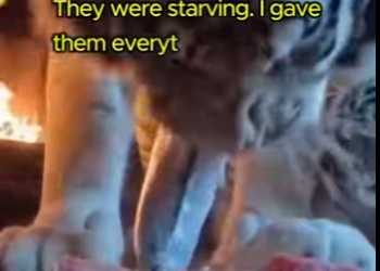 L2303010 Her baby was crying. This man couldn’t watch his mother suffocate… and this is what happened (Part 2)