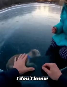 I risked everything to save a little girl’s dog trapped under frozen lake ice (Part 2)