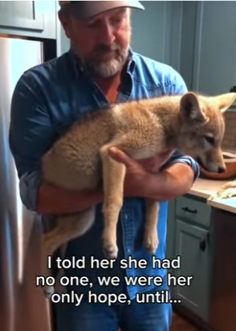 P2603003 New dogs for my wife to spoil (Part 2)