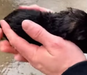 P2603005 He Was Born On The Cold Street (Part 2)