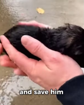 P2603005 He Was Born On The Cold Street (Part 2)