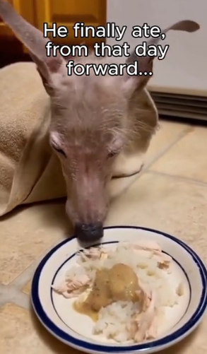 F2203006 dog rescuer encounter to give him shelter (Part 2)