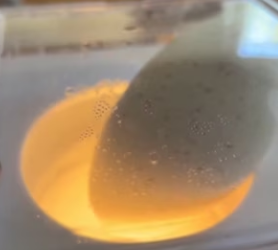 F2603002 Thought It Was Just An Egg… Until It Hatched Into …(Part 2)