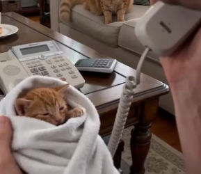 F2603009 She brought her child to ask for help (Part 2)