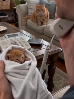 F2603009 She brought her child to ask for help (Part 2)