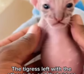 P2203007 The best things in life are rescued. (Part 2)