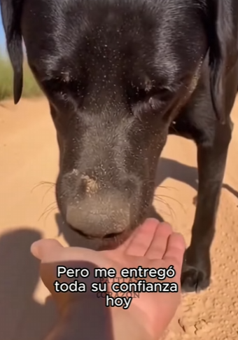 F2603011 Rescue is not a verb, it’s a lifestyle. (Part 2)