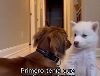 F2603004 They don’t care about your past; they just want a future with you. (Part 2)