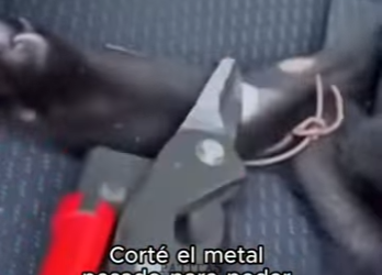 F2603010 There are thousands more waiting for a home. Will you be the one? (Part 2)