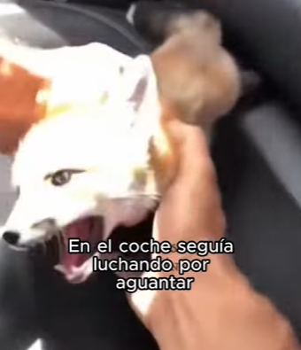 F2603001 Open your heart, open your home. (Part 2)