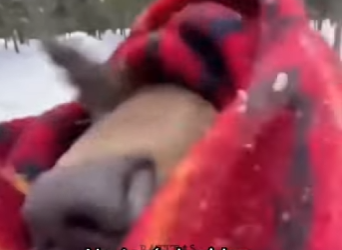 F2603003 Fostering: A temporary home for a permanent love. (Part 2)