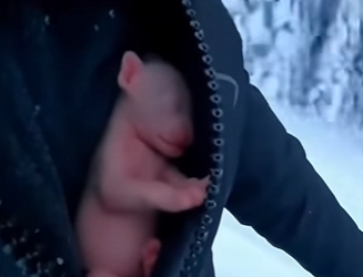 Deep in the frozen peaks of the Himalayas, this leopard cub found new friends who gave him a second (Part 2)