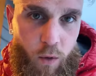 D2503006 When Panthers Knocked on My Door. (Part 2)