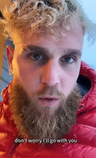 D2503006 When Panthers Knocked on My Door. (Part 2)