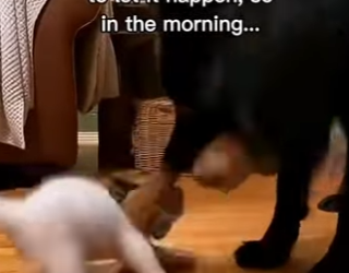 K2303012 The Unexpected Gift (Part 2)