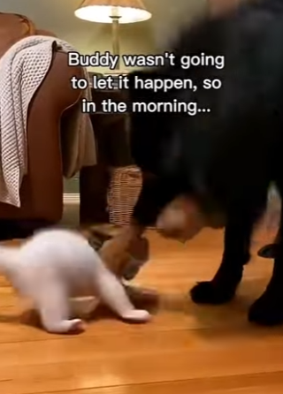 K2303012 The Unexpected Gift (Part 2)