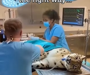 K2503001 She was dying (Part 2)