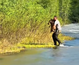 P2104006_Une maman élan tente de traverser  la rivière avec son petit… mais  le courant emporte le jeune ��( PARTIE 2)