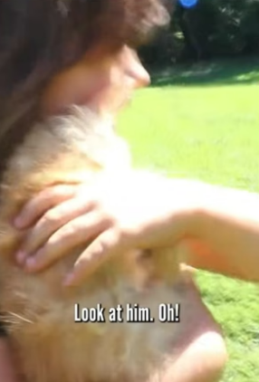 S2204004_This family found a stray kitten and brought it home ( PART 2)