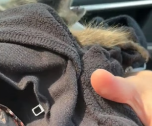 S2404004_Girl found an abandoned baby raccoon and brought it home ( PART 2)