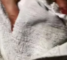S2404002_Man rescued a kitten from flood waters and brought it home ( PART 2)