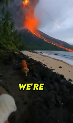 S2504005_My Dog Saved A Baby Tiger From A Volcano… But Then �� PART 2