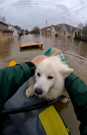 P0504002_Saving Animals From A Great Flood ( Part 2)